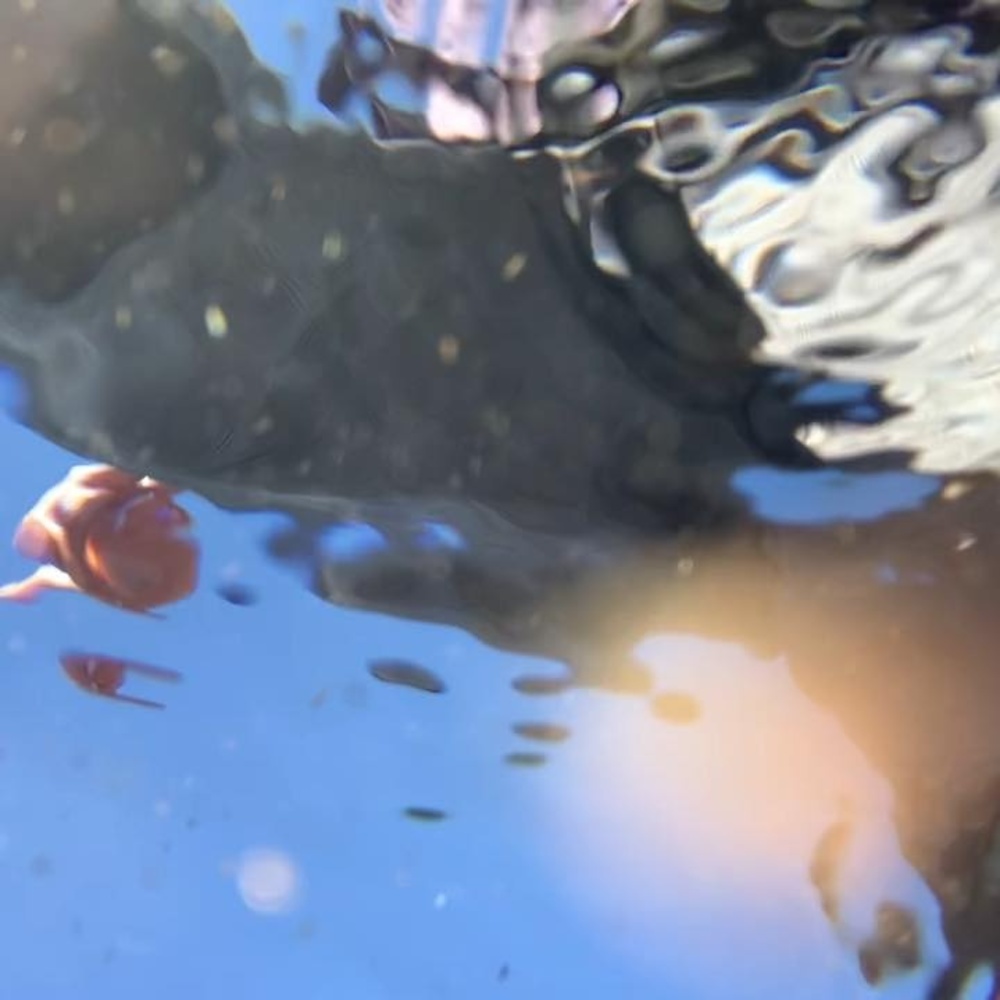 Meet your Posher, Allyson